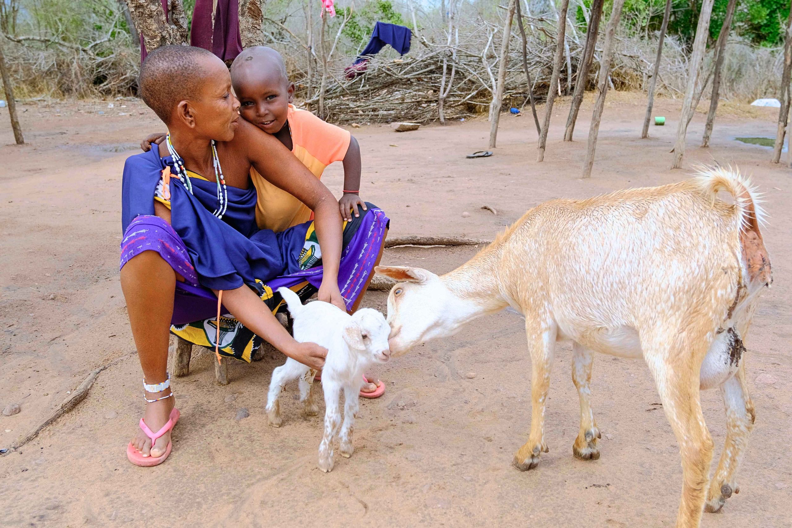 En masaikvinde og et barn sammen med en ged og dets kid.